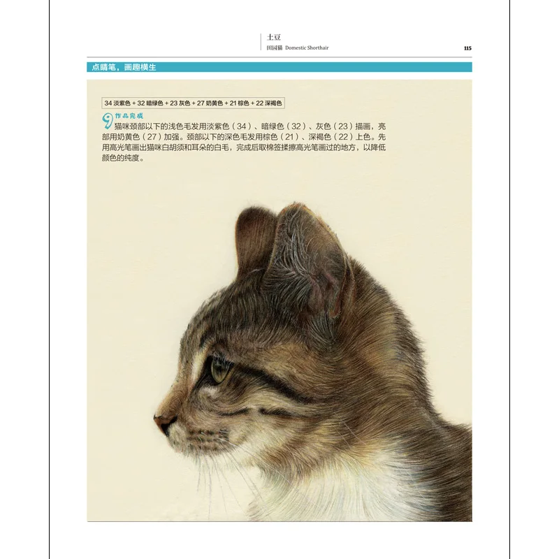Naujų 31 Katės Spalvos Pieštuku Tapyba Knyga Lovely Cat Piešimo Technika, Knygos Nulio Pagrindinių Piešimo Pamoka Knyga suaugusiems